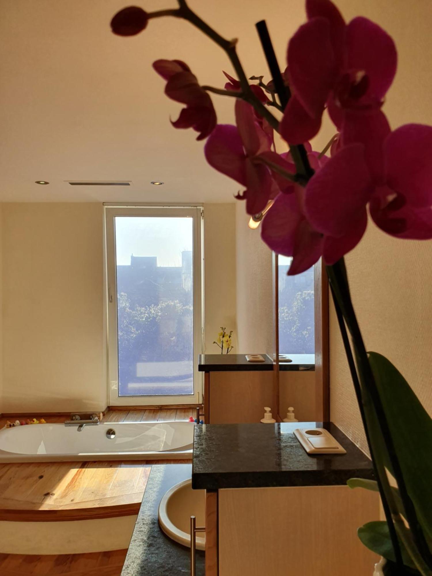 Huize La Passion Vacationhouse 10 Min Walk From The Sea Villa Middelkerke Eksteriør bilde